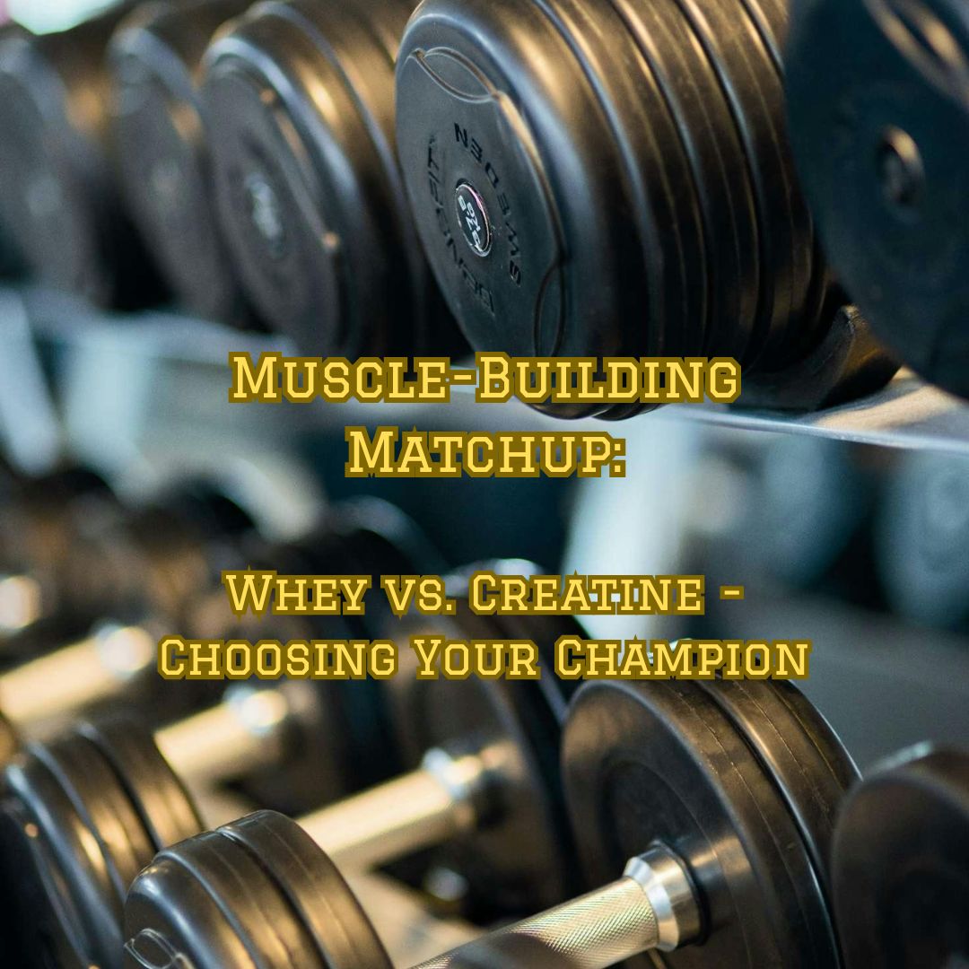 Muscle-Building Matchup: