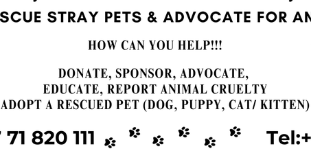 BSPCA