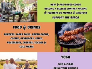 Hogs & Dogs Family Fun Day 2026 | Family, Food, Fitness and Pet-Friendly Event in Gaborone